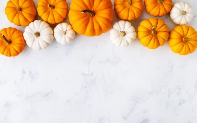 What We’re Thankful For This Season